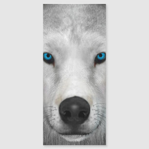 Arktischer Wolf Magnetkarte