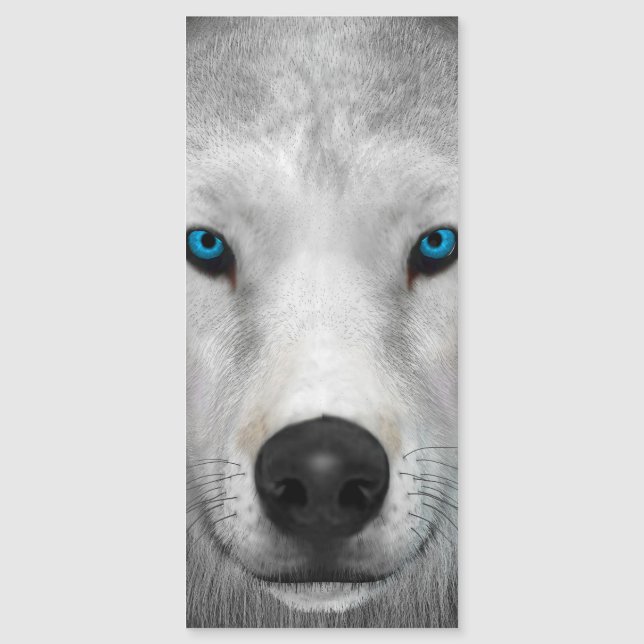 Arktischer Wolf Magnetkarte (Vorderseite)