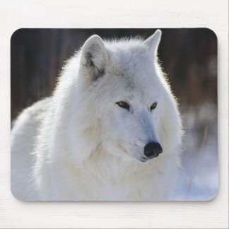 Arktischer Wolf Mousepad