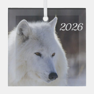 Arktischer Wolf Schmuck Ornament Aus Glas