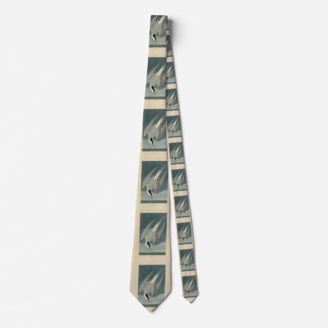 Arktischer Zern aus Audubons Vögeln Amerikas Krawatte (Vorderseite)