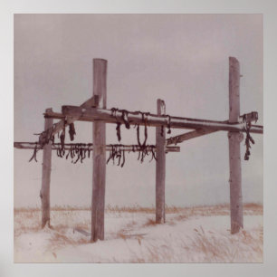 Arktisches Fleisch, Trockenraps, alter Steg. Lay V Poster