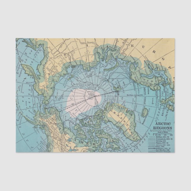 Arktisches Gewebe Seidenpapier (Vorderseite)
