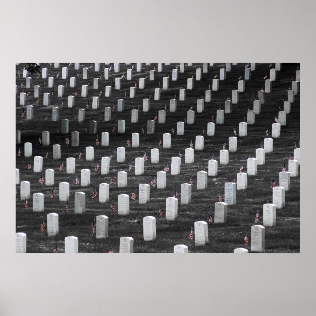 Arlington B&W Farbflags Poster (Vorne)