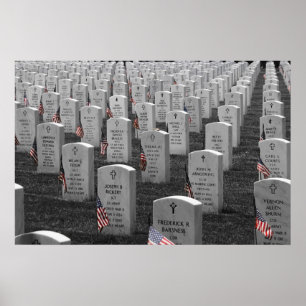 Arlington B&W Flags Color Poster