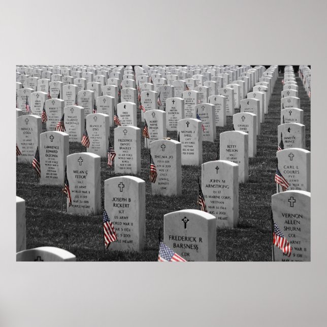 Arlington B&W Flags Color Poster (Vorne)