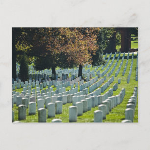 Arlington National Cemetery Postcard Postkarte