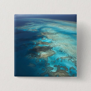Arlington Reef, Great Barrier Reef Marine Park, Button