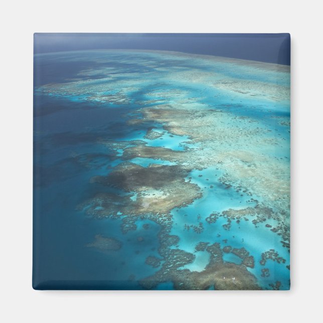 Arlington Reef, Great Barrier Reef Marine Park, Magnet (Vorne)