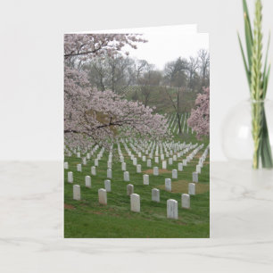 Arlington-Staatsangehörig-Friedhof Karte