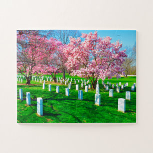 Arlington Virginia Puzzle
