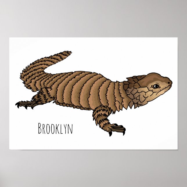 Armadillo girdled lizard cartoon illustration poster (Vorne)
