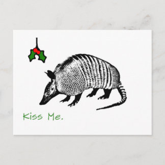 Armadillo Kiss Me Postkarte