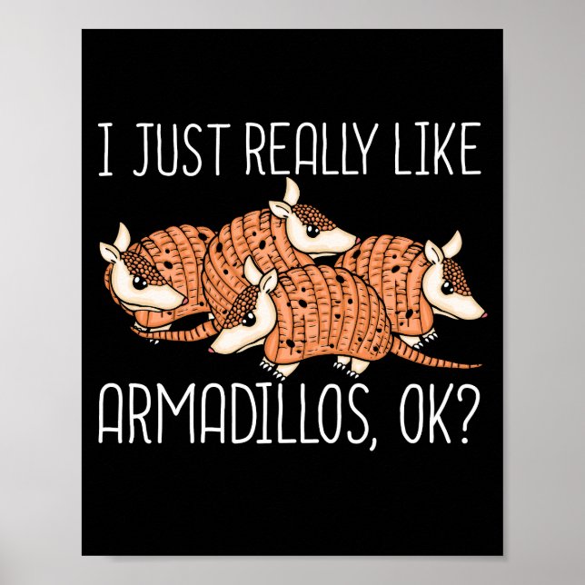 Armadillo Lover Wildlife Animal Gift Armadillo Poster (Vorne)