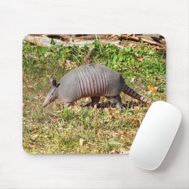 Armadillo Mousepad (Mit Mouse)