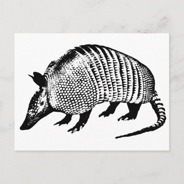 Armadillo Postkarte (Vorderseite)