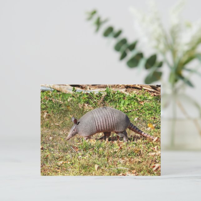 Armadillo Postkarte (Stehend Vorderseite)