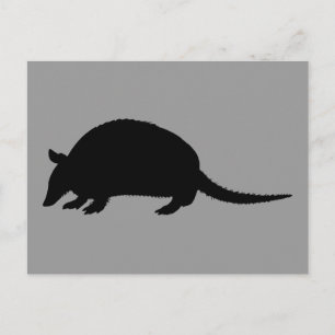 Armadillo Postkarte