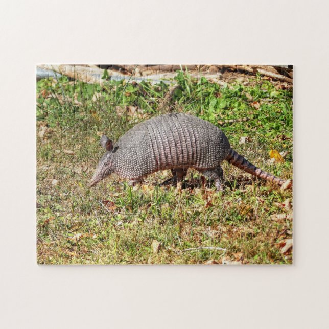 Armadillo Puzzle (Horizontal)