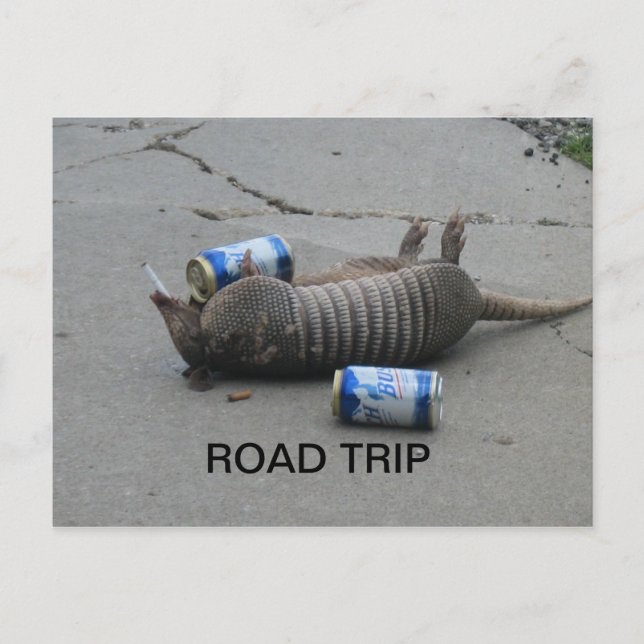Armadillo Road Trip Postkarte (Vorderseite)