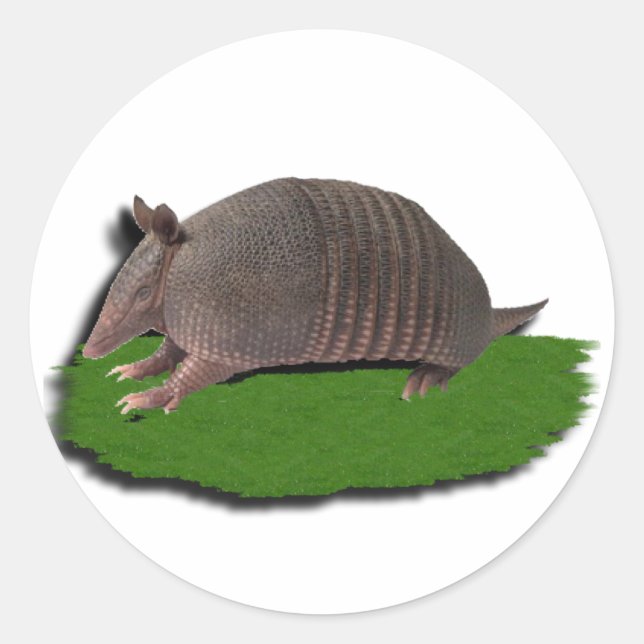 Armadillo Runder Aufkleber (Vorderseite)