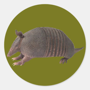 Armadillo schlicht runder aufkleber