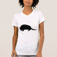 Armadillo