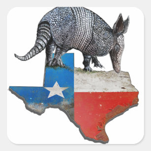 Armadillo Texas State Flag Map Quadratischer Aufkleber
