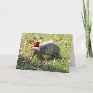 Armadillo Weihnachtskarte Feiertagskarte