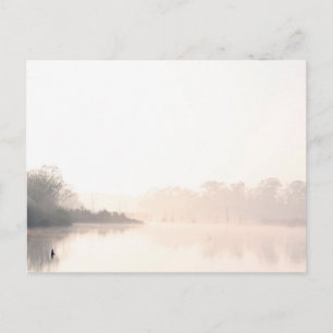 Armand Bayou fog Postkarte