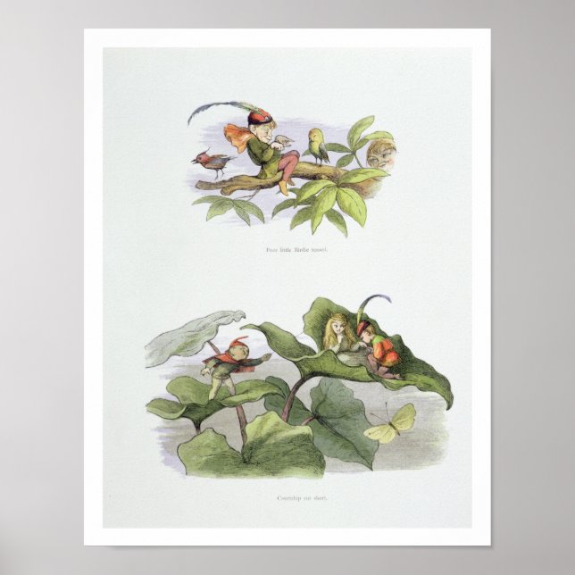 Arme kleine Birdie geärgert, und das Gericht schni Poster (Vorne)