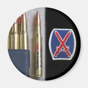 Armee 10. Berg div iraq nam vet vfw Magnet