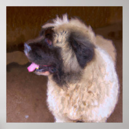 Armenian Gampr - Dog Portrait Poster