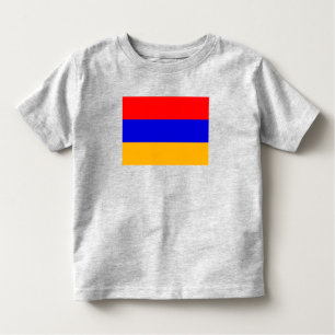 Armenische Flagge Kleinkind T-shirt