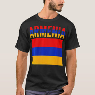 Armenische Geschenk Armenien Länderflagge VNeck1 T-Shirt