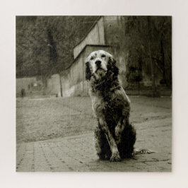 Armer Hund Gewartet Puzzle