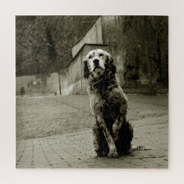 Armer Hund Gewartet Puzzle (Vertikal)