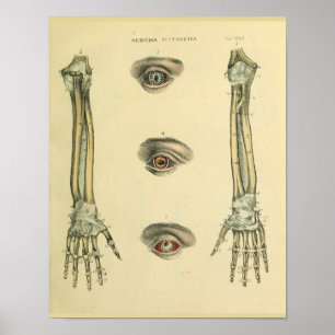 Armhandknochen Augen Anatomische Kunst drucken Poster