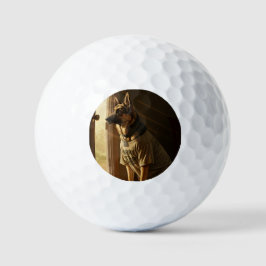 Army dog golf ball - Sondergeschenk