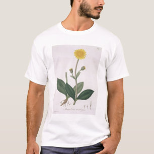 Arnika Montana von "Phytographie Medicale" durch T-Shirt