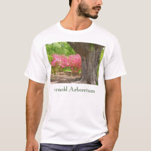 Arnold-Arboretum im Frühjahr T-Shirt