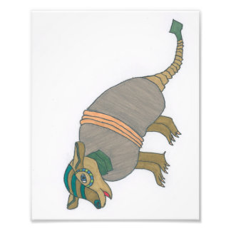 Arnold the Armadillo print Fotodruck