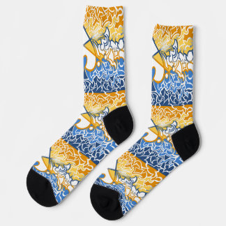 Aroace Sonnen- und Meeresstolzflagge Schlängellini Socken
