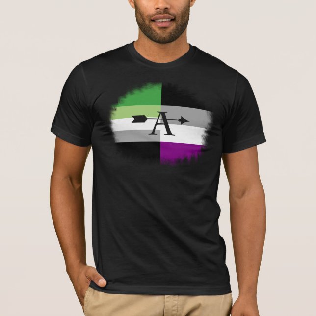 Aromantic asexuales Aro As-Shirt T-Shirt (Vorderseite)