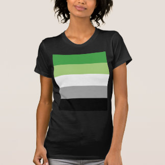 aromantic Flagge T-Shirt