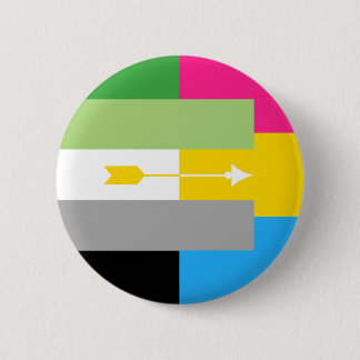 Aromantic Pansexual Button