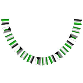 Aromantic Spektrum-Flaggen-Flaggen Wimpelkette