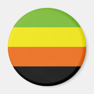 Aromantische Pride-Flagge Magnet