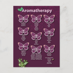 Aromatherapie Chart in Burgund Postkarte