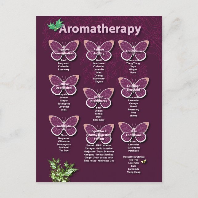 Aromatherapie Chart in Burgund Postkarte (Vorderseite)
